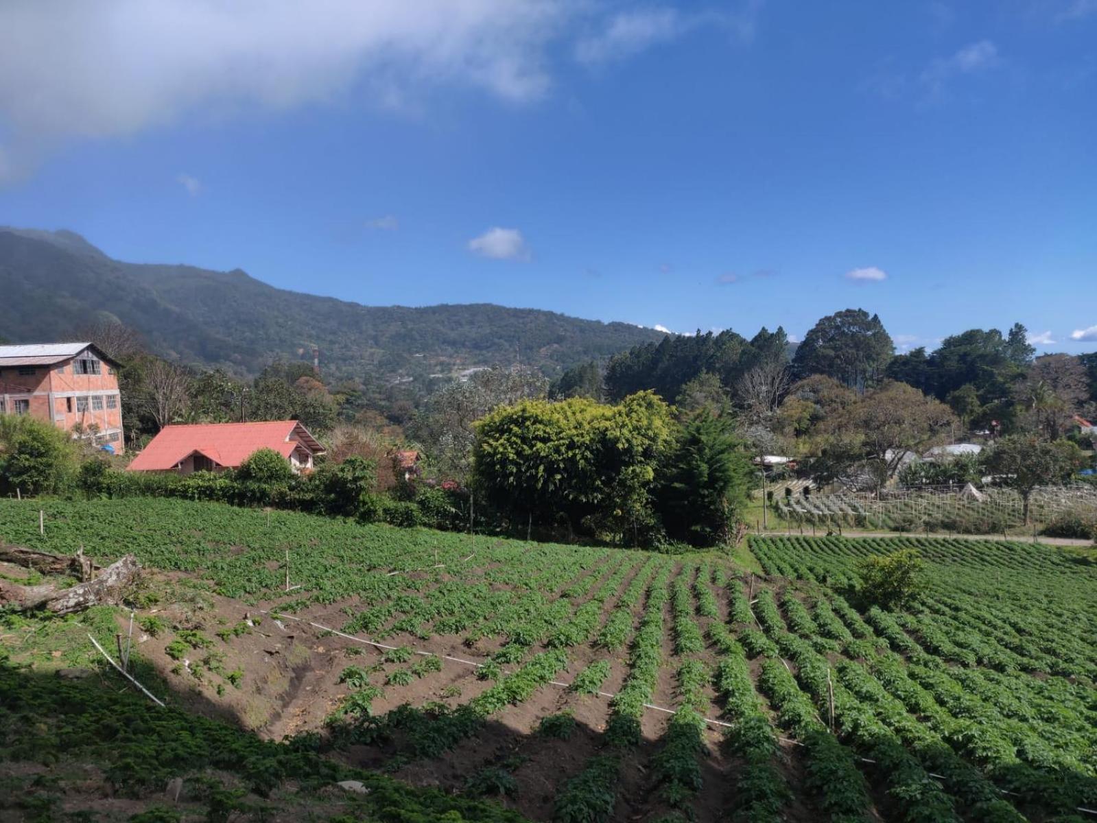 A Pousada Agartha Mountain Retreat Boquete Exterior foto